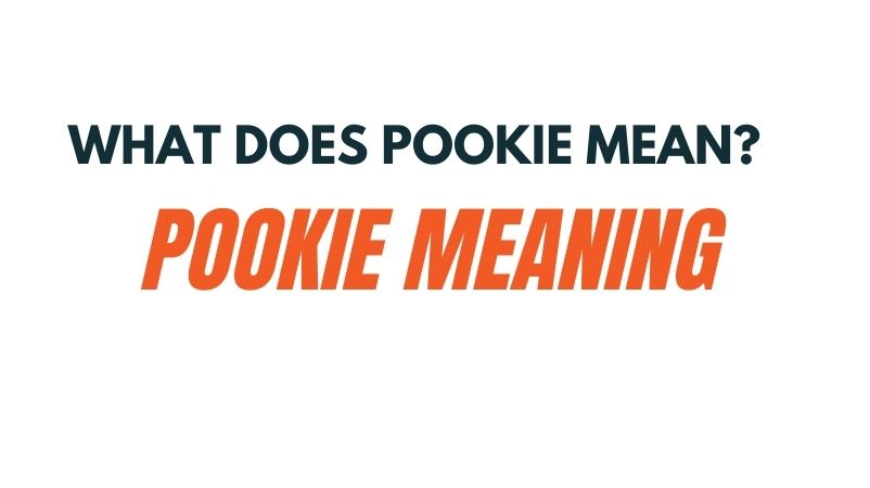 What Does Pookie Mean? – Pookie Meaning