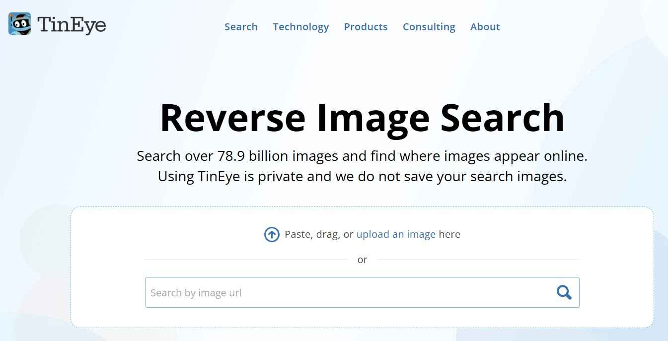 TinEye pimeyes alternatives 